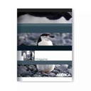 6237629 - 9