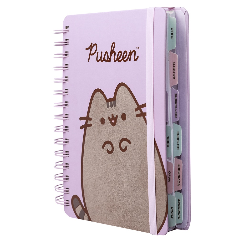 AGENDA 2027 14x20 DIARIA PUSHEEN MOOVING