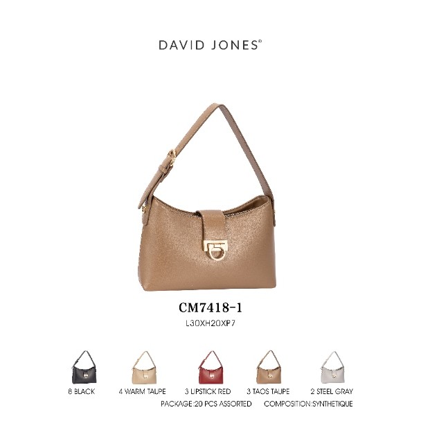 CARTERA DAVID JONES