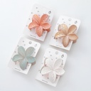BROCHE TRENDY