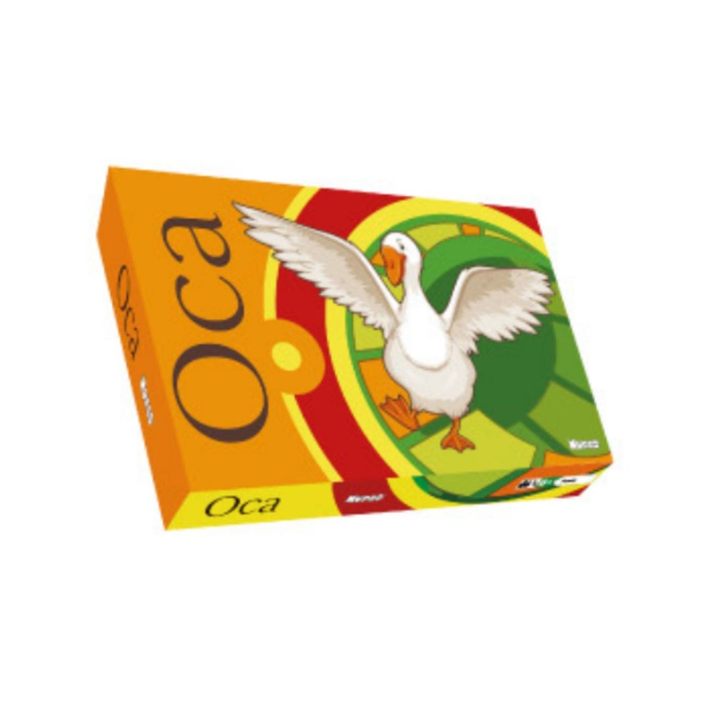 [811021] OCA ECONOMICO
